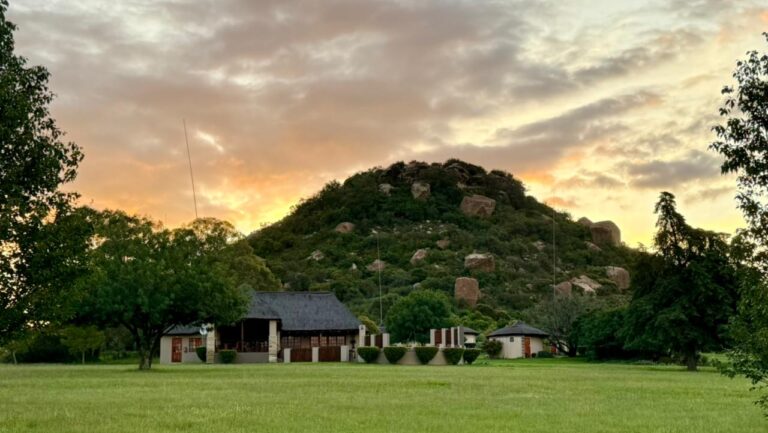Boma-image-Zuikerkop