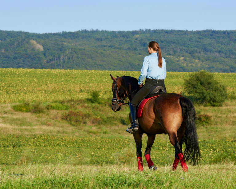 Pleasure Ride Image 3