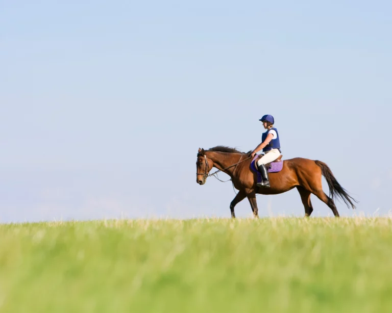 pleasure ride image one